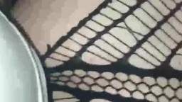 Zenica voli od pozadi