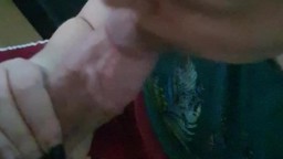Tina ga pusi ko velika